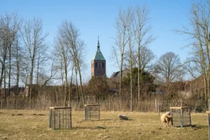 Blick auf die Gemeinde Weeze