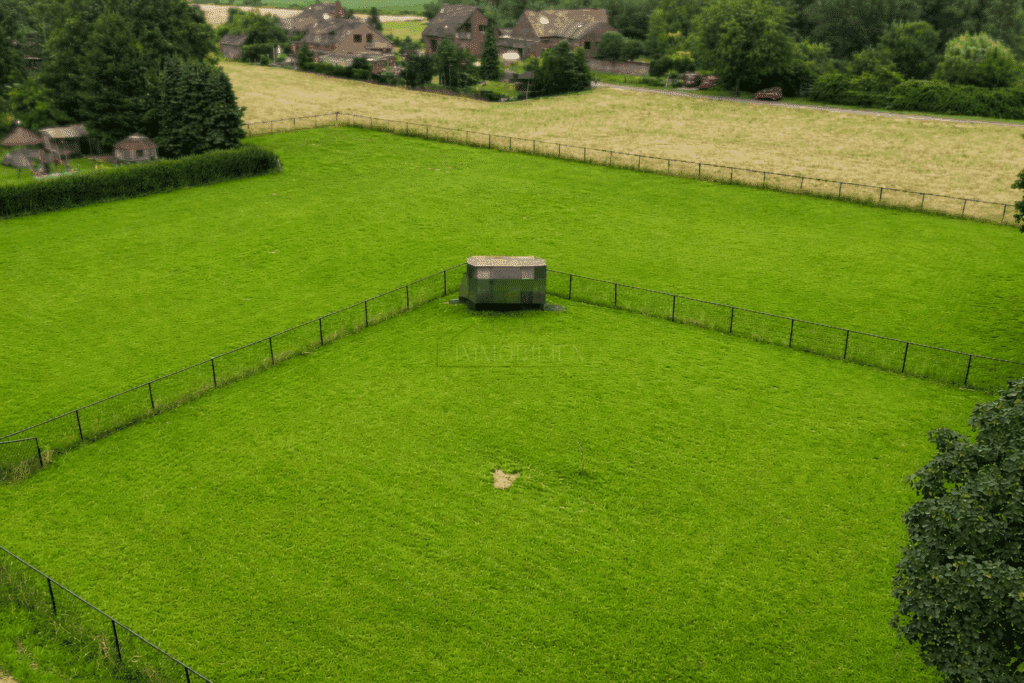 Aufnahme Grünfläche